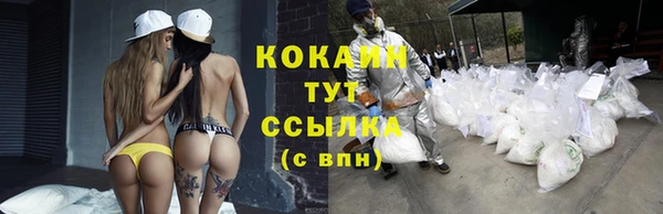 Альфа ПВП Лиски