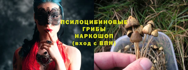 скорость Липки