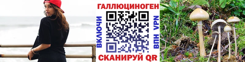 Галлюциногенные грибы Magic Shrooms  Купить  Гаджиево 